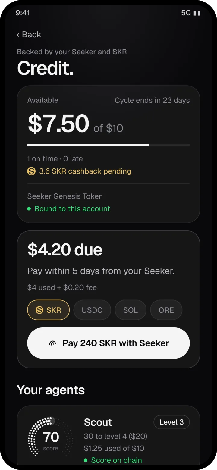 A statement due, paid in SKR with the Seeker